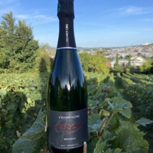 Champagne Grégoire SOMAVAL - Millésimé