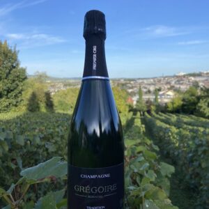 Champagne Grégoire SOMAVAL - Tradition brut