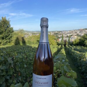 Champagne Grégoire SOMAVAL - Rosé